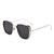 NetRed Thick-Edged Irregular Square Sunglasses