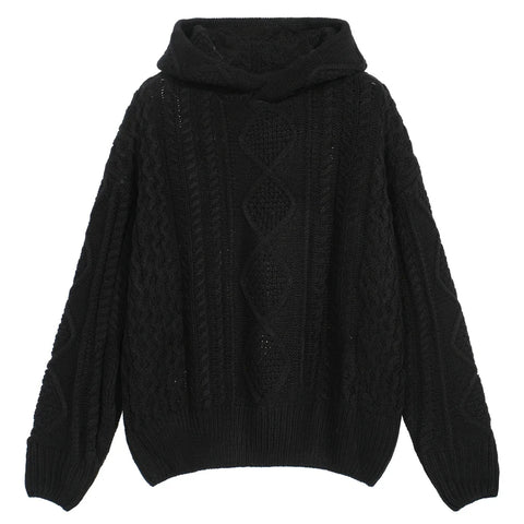 NEW ESSENTIALS Pullover Chunky Knit Hooded Wool Sweater